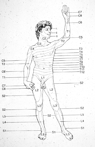 heart attack pain location. during a heart attack,