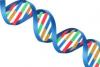 Histones to DNA