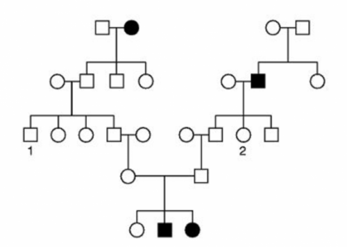 post-118584-0-73473400-1467645399_thumb.