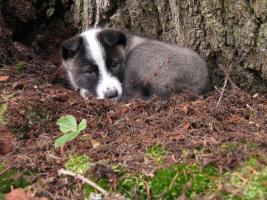 post-33026-078157300 1287628773_thumb.jpg