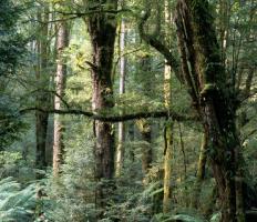 post-33175-081014800 1288209529_thumb.jpg