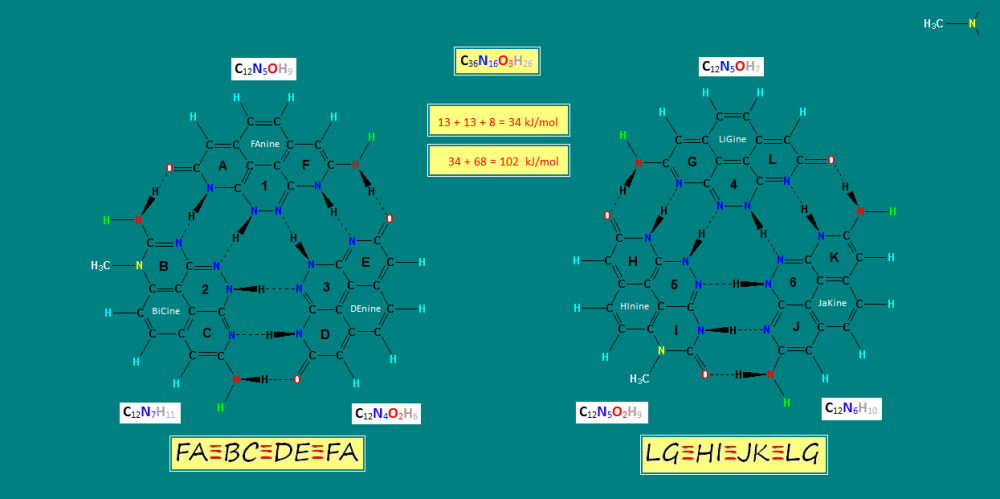 Triple Helix DNA Bases_CH3.PNG