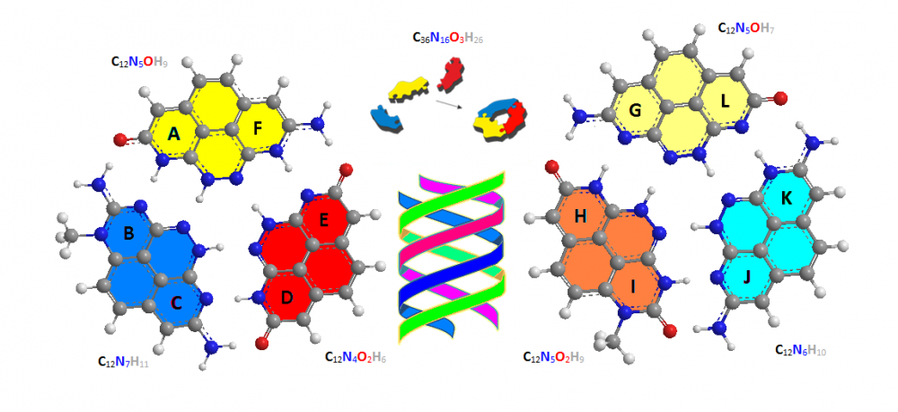 Triple Helix DNA Bases_CH3_Image_2.PNG