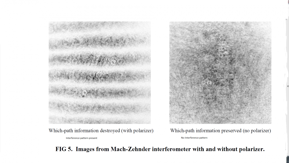 5a339e8367803_GETFig5MZIInterferencePattern.thumb.png.98a85476073ffcc56845e91aae555bfd.png