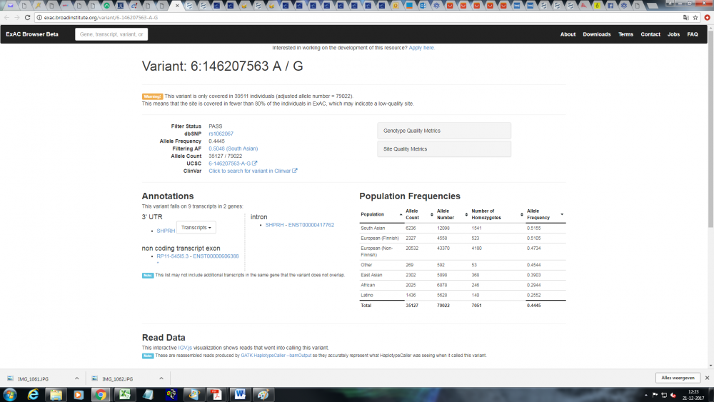 allele frequency.png