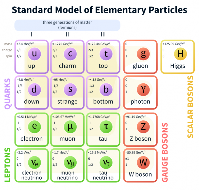 Standard_Model_of_Elementary_Particles.svg.png