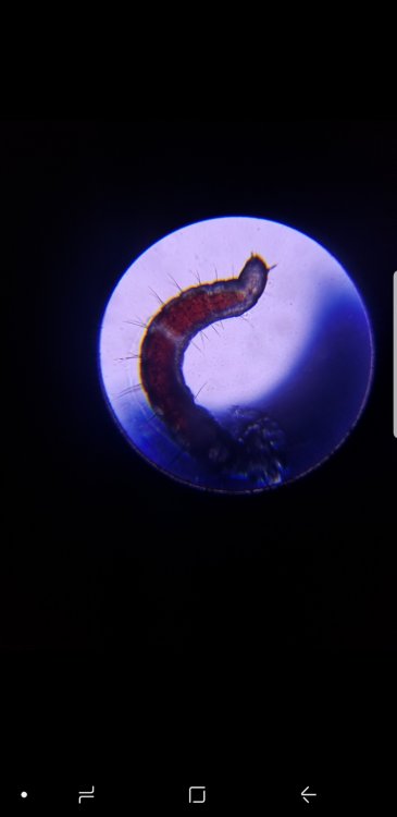 Screenshot_20180601-201943_Photo Editor.jpg