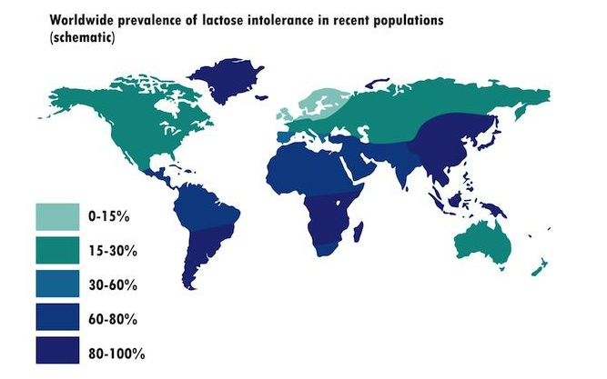 5b3163569d3e2_LactoseIntoleranceWorldwide.png.4d76c852d0fb3c9544b5bbb59bdd6c09.png