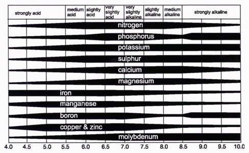 Ph And Nutrient Uptake Charts