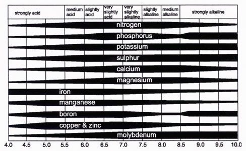 Ph Nutrients Chart