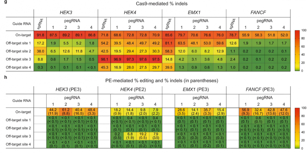 Prime Editing Targets.PNG
