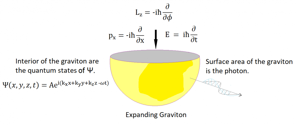 graviton with quantum states and photon surface.png