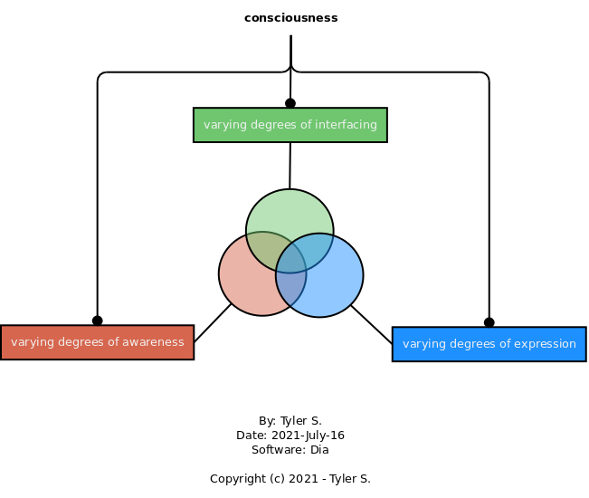consciousness_diagram_by-tyler-s_2021.png