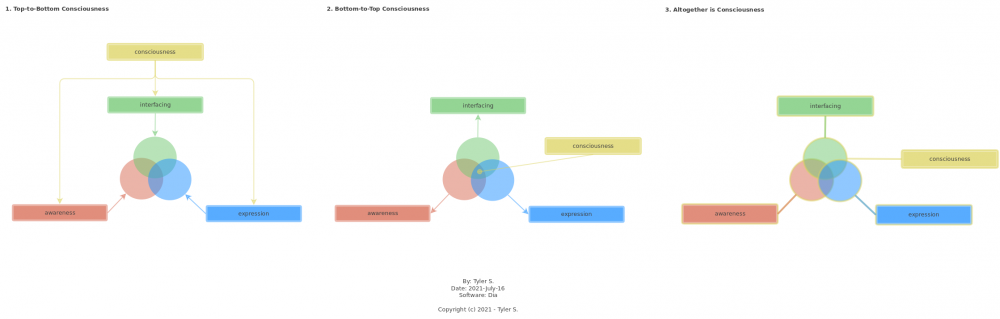 refined-consciousness_diagram_by-tyler-s_2021.png