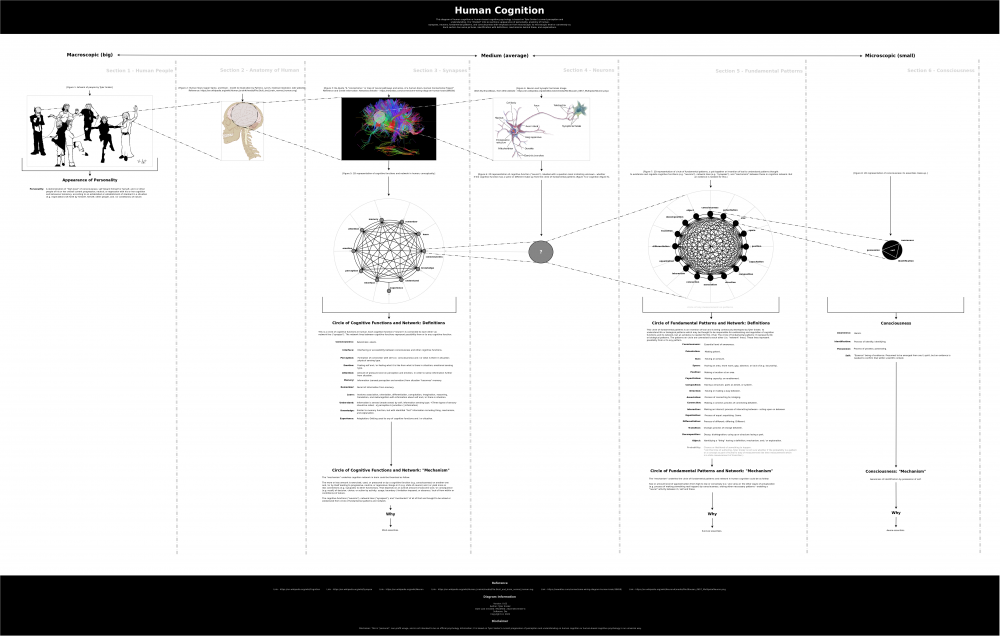 diagram-of-human-cognition_by-tyler-snider_2022_version-063.png
