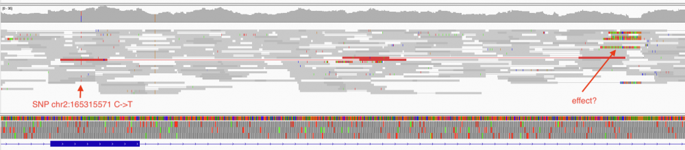 Screenshot 2023-07-17 at 10.47.36.png