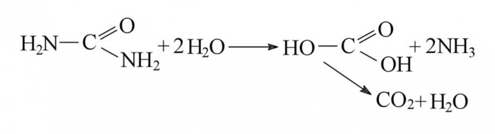 Screenshot 2024-03-26 at 16.56.24.png