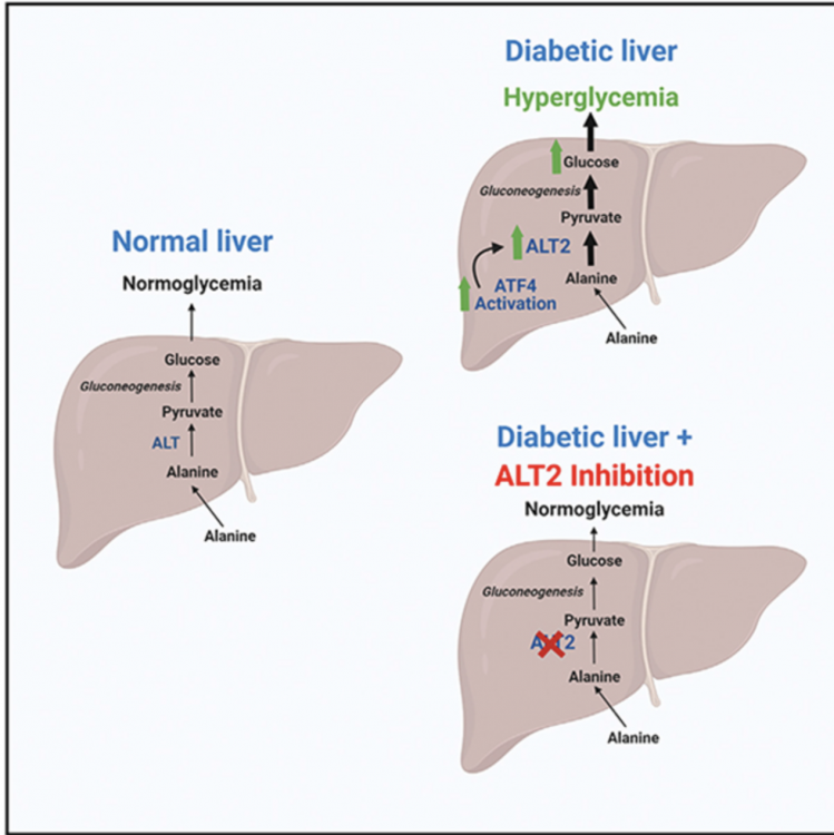 Capture d’écran 2024-04-19 à 11.13.40.png