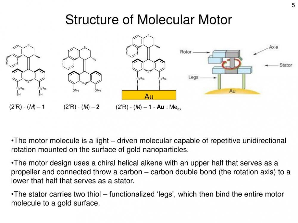 structure-of-molecular-motor-l.jpg