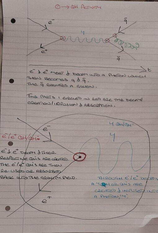 20250923 SFN Image Post 240925.JPG