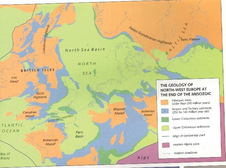65MYA.jpg