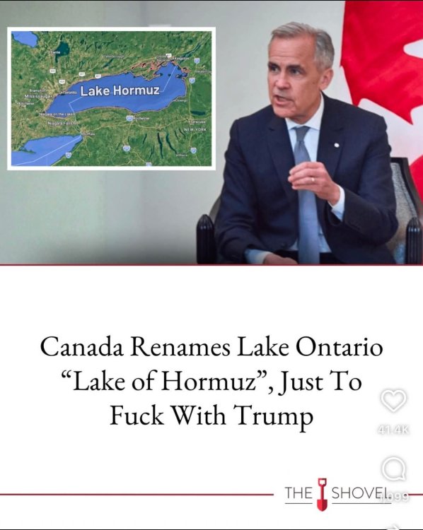 image.jpeg